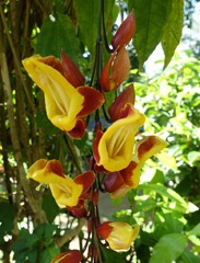 DSC01028a